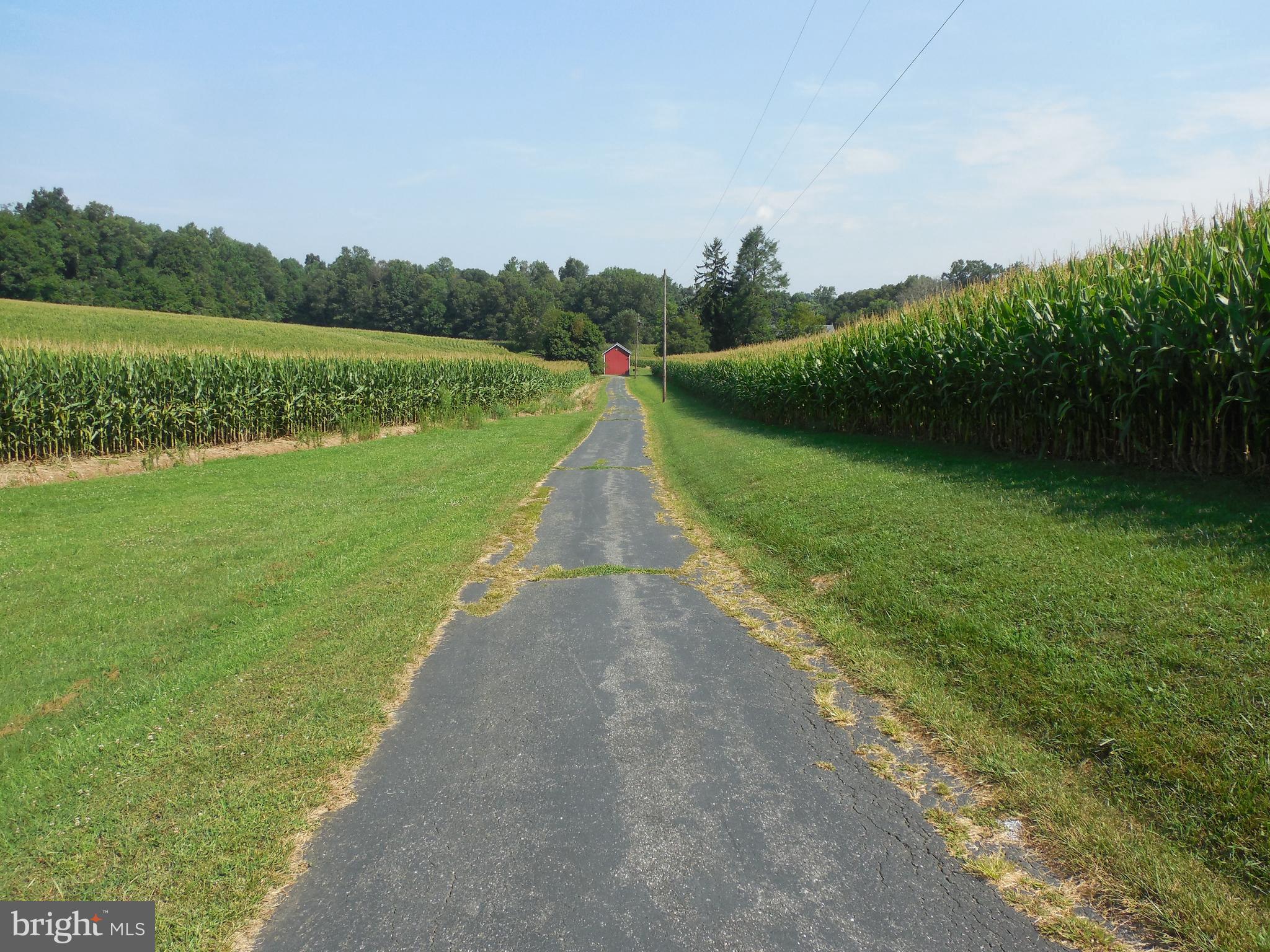 1377 Graceton Road Fawn Grove, PA 17321 - Photo 46 of 48 Gallery Image 46
