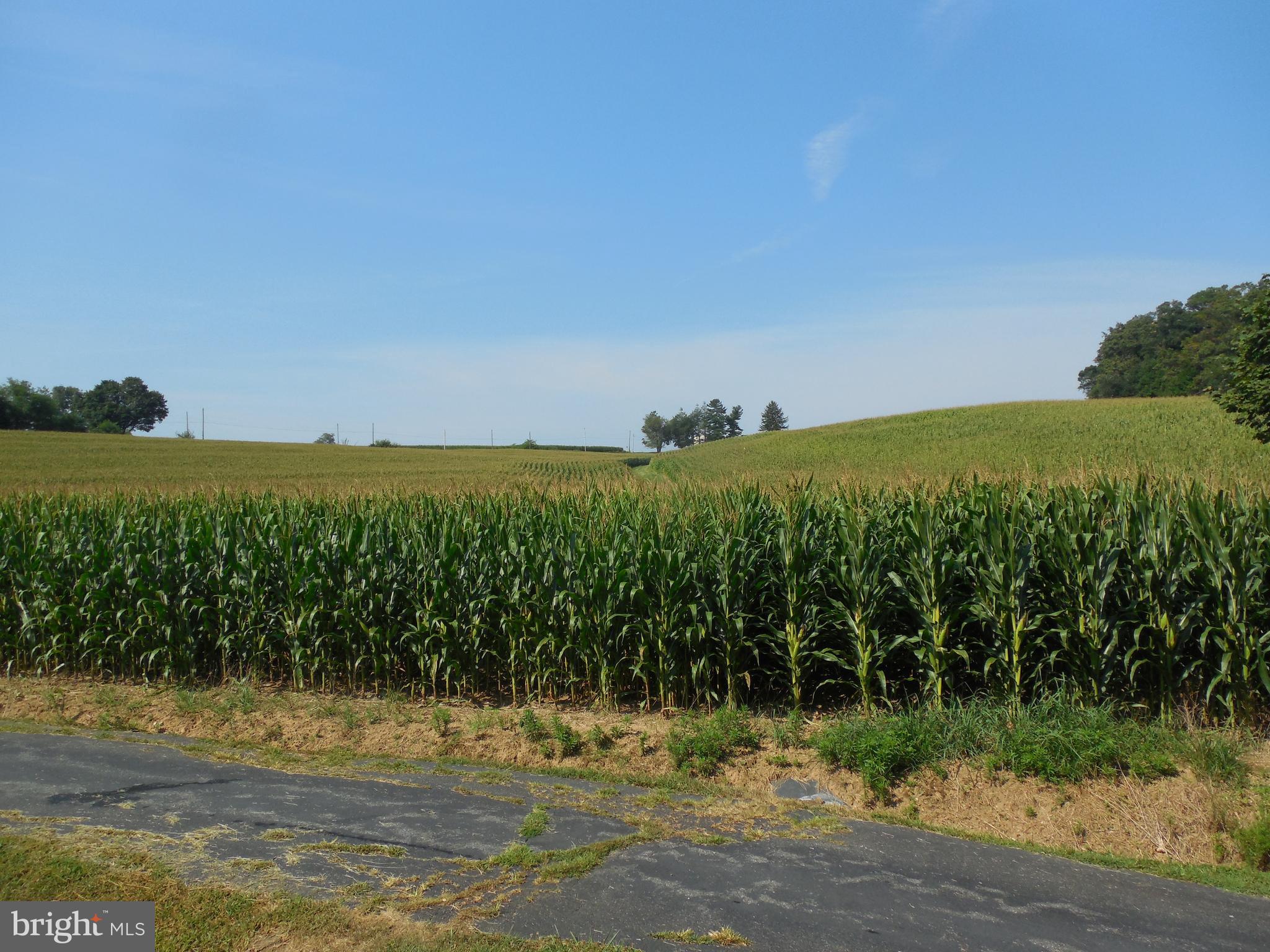 1377 Graceton Road Fawn Grove, PA 17321 - Photo 7 of 48 Gallery Image 7
