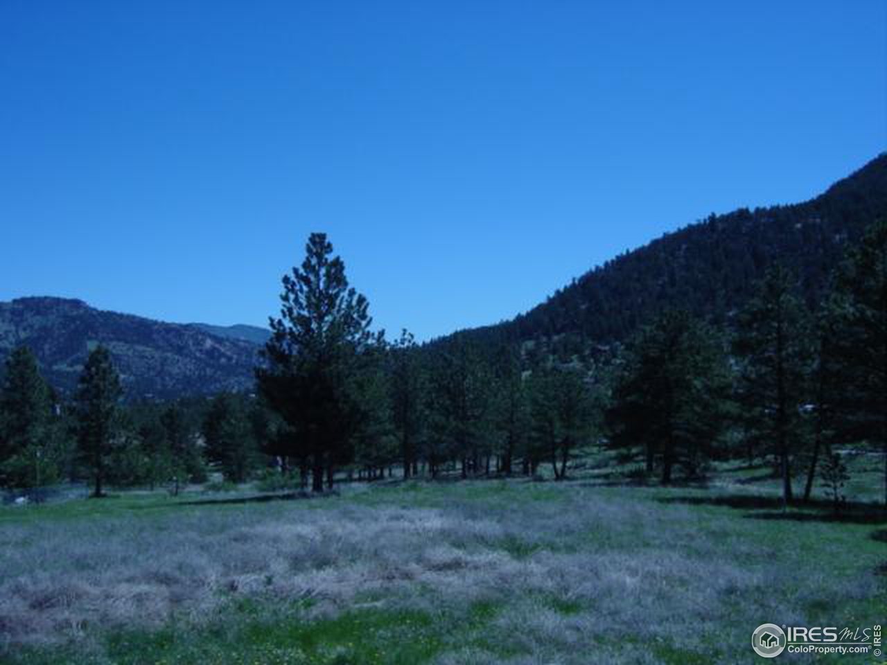 360 Cherokee Road Lyons, CO 80540 - Photo 6 of 7 Gallery Image 6