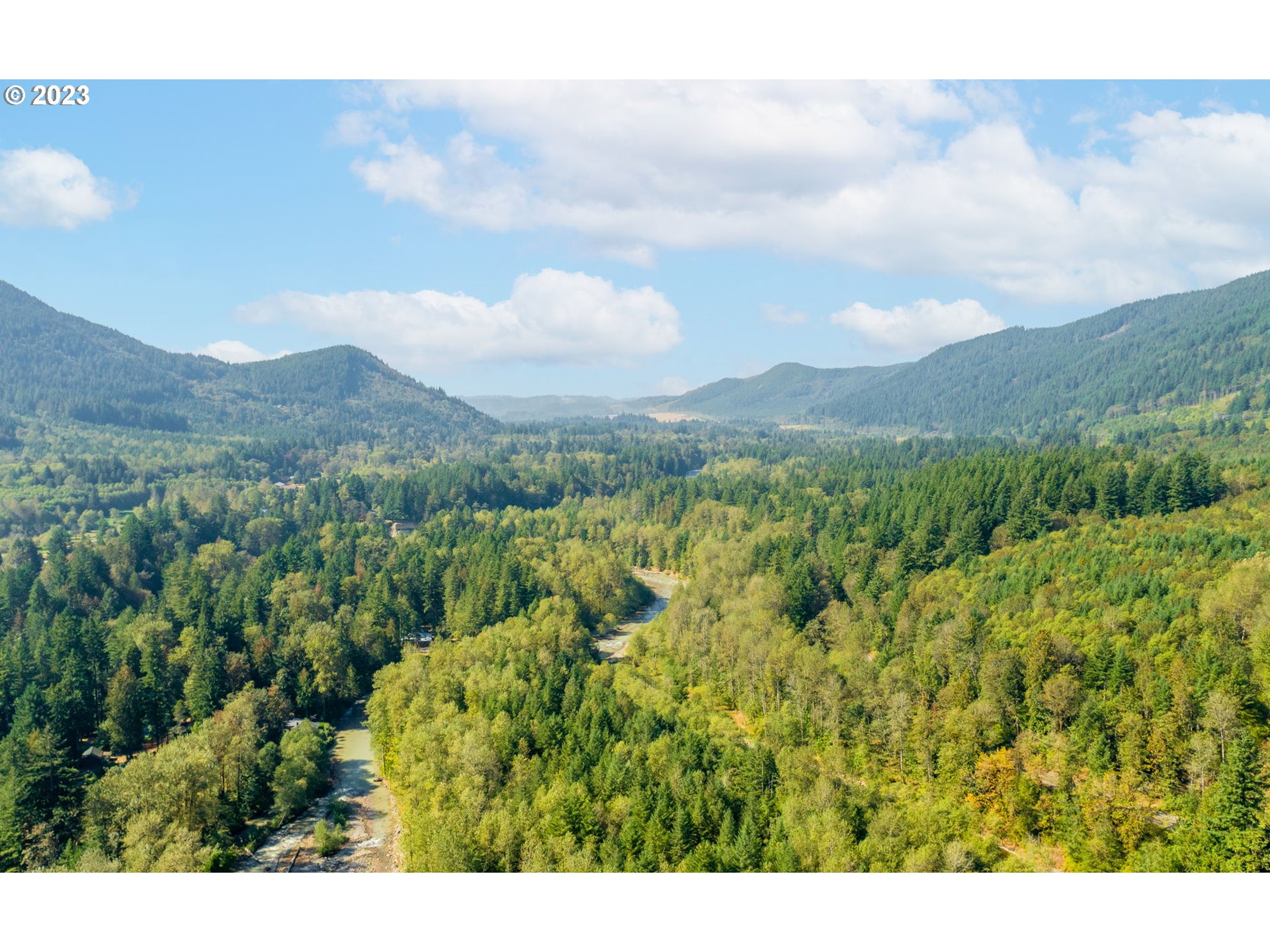 65582 East Timberline Drive Rhododendron, OR 97049 - Photo 48 of 48 a view of a lot of trees and mountains