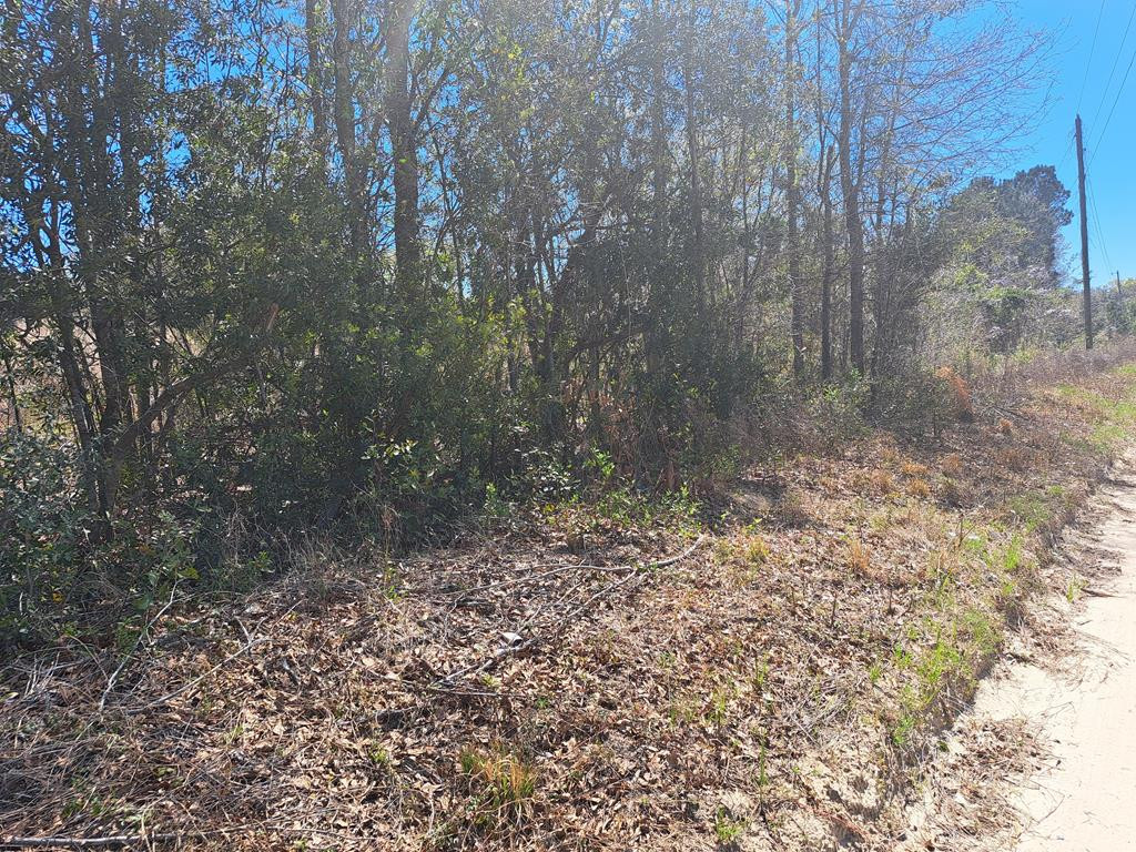38-200 Laval Road Santee, SC 29142 - Photo 2 of 3
