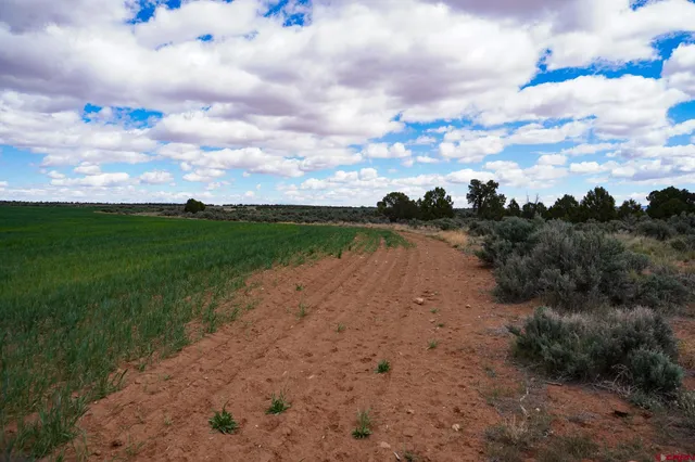 view of a yard with a wooden fence