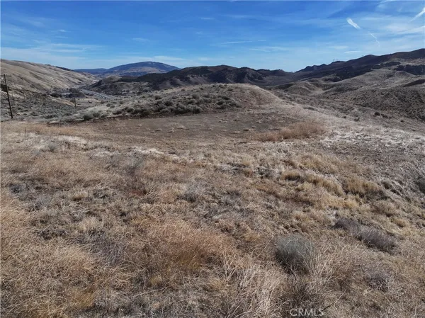 a view of a dry yard