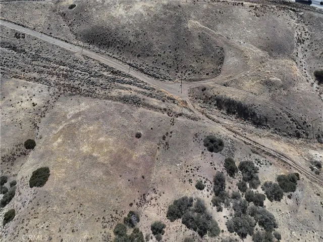 a view of a yard with a forest