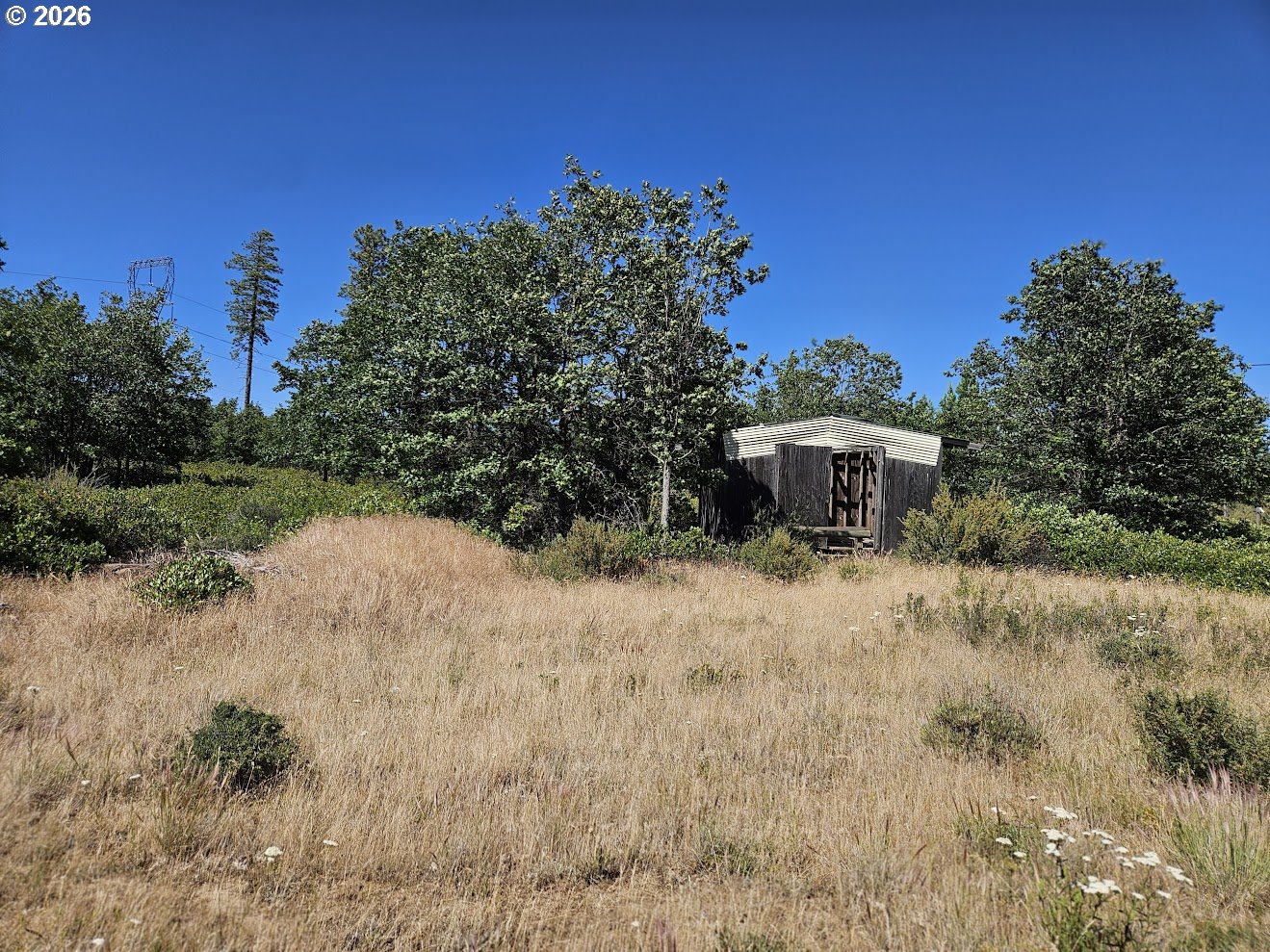 67 Timber Lane Roosevelt, WA 99356 - Photo 18 of 37 a view of a dry yard with trees