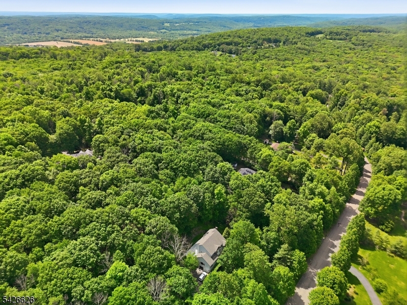 20 Indian Run Road Long Valley, NJ 07853 - Photo 48 of 50