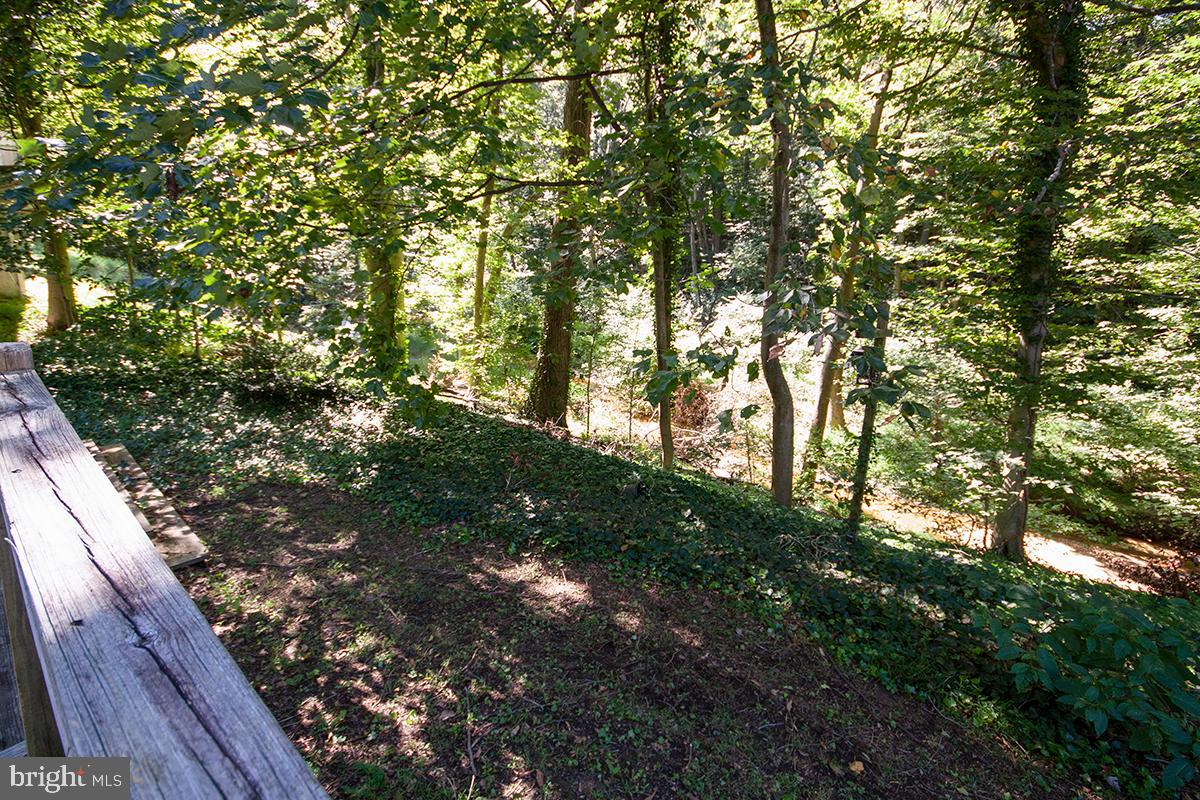 164 Duffield Road Mullica Hill, NJ 08062 - Photo 48 of 57