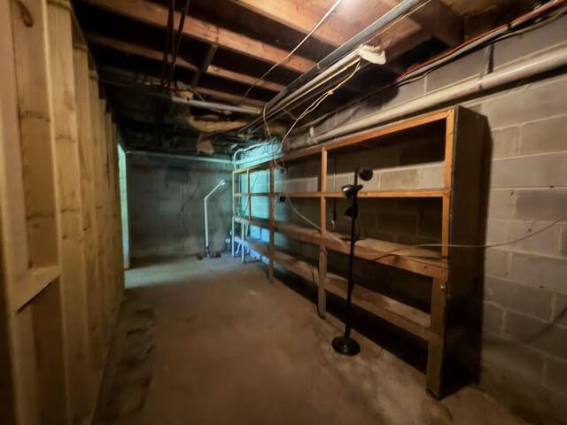 11818 McGhee Road Apison, TN 37302 - Photo 31 of 52 Basement Storage