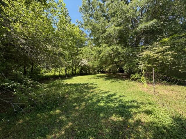 11818 McGhee Road Apison, TN 37302 - Photo 38 of 52 Backyard