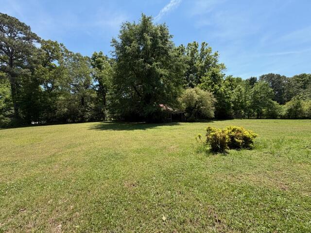 11818 McGhee Road Apison, TN 37302 - Photo 50 of 52 Side Yard