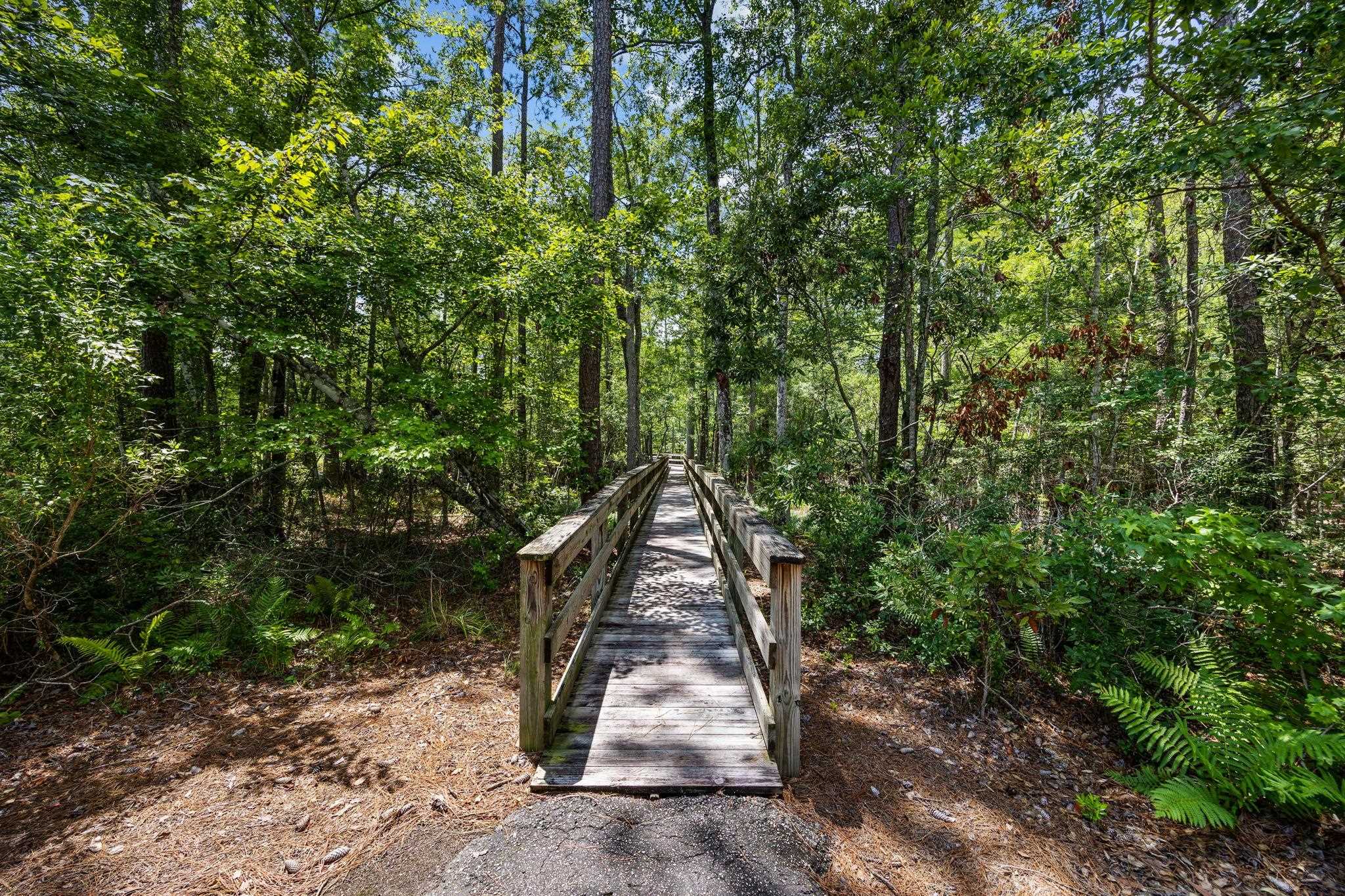 9060 Binnicker Drive Murrells Inlet, SC 29576 - Photo 69 of 94