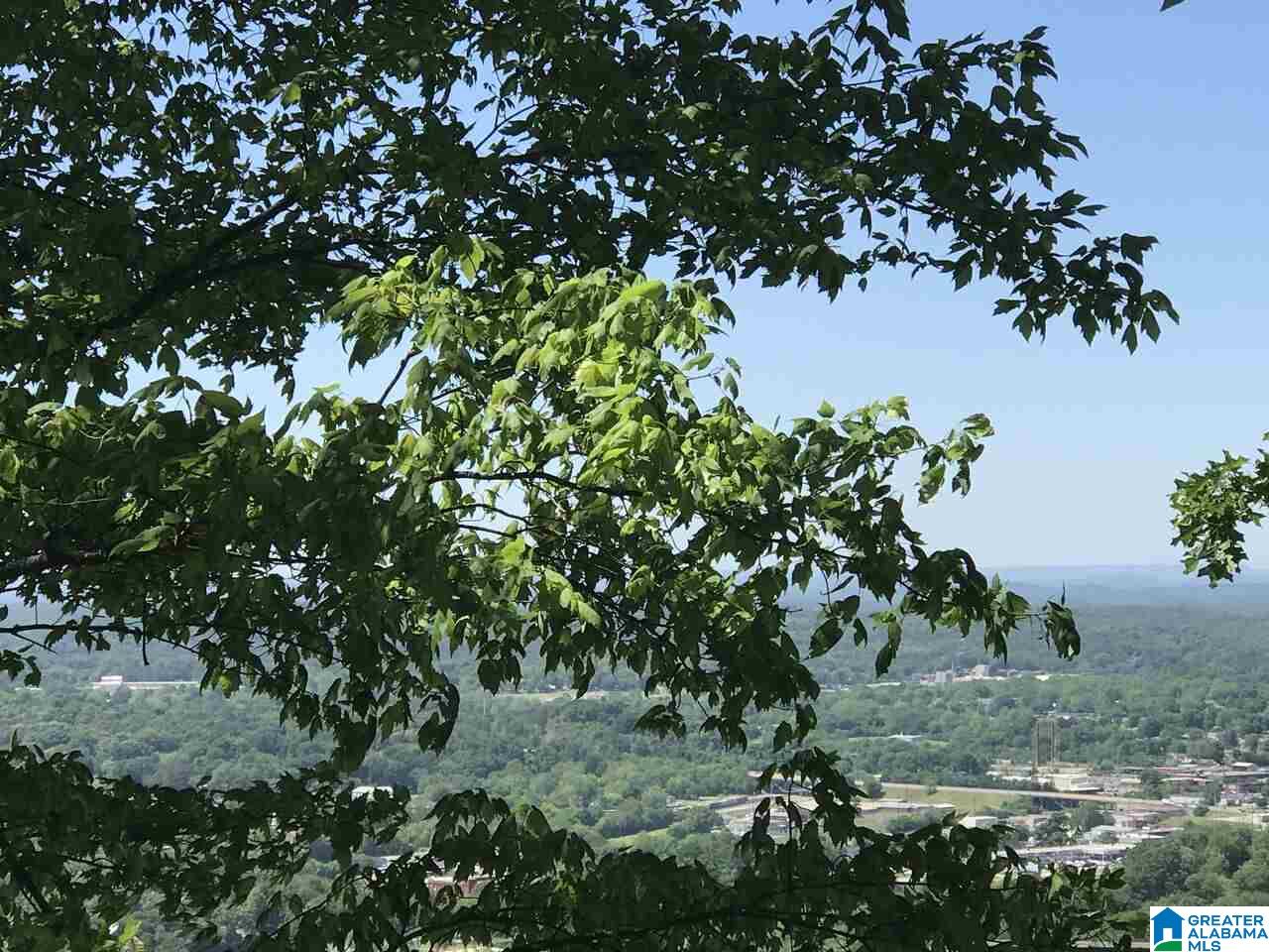 728 Hillyer High Road, Unit 9 Anniston, AL 36207 - Photo 4 of 8