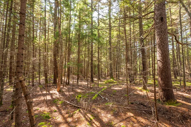 $165,000 | Lot 11 Nahanada Road, Bristol, ME 04554