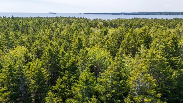 $165,000 | Lot 11 Nahanada Road, Bristol, ME 04554