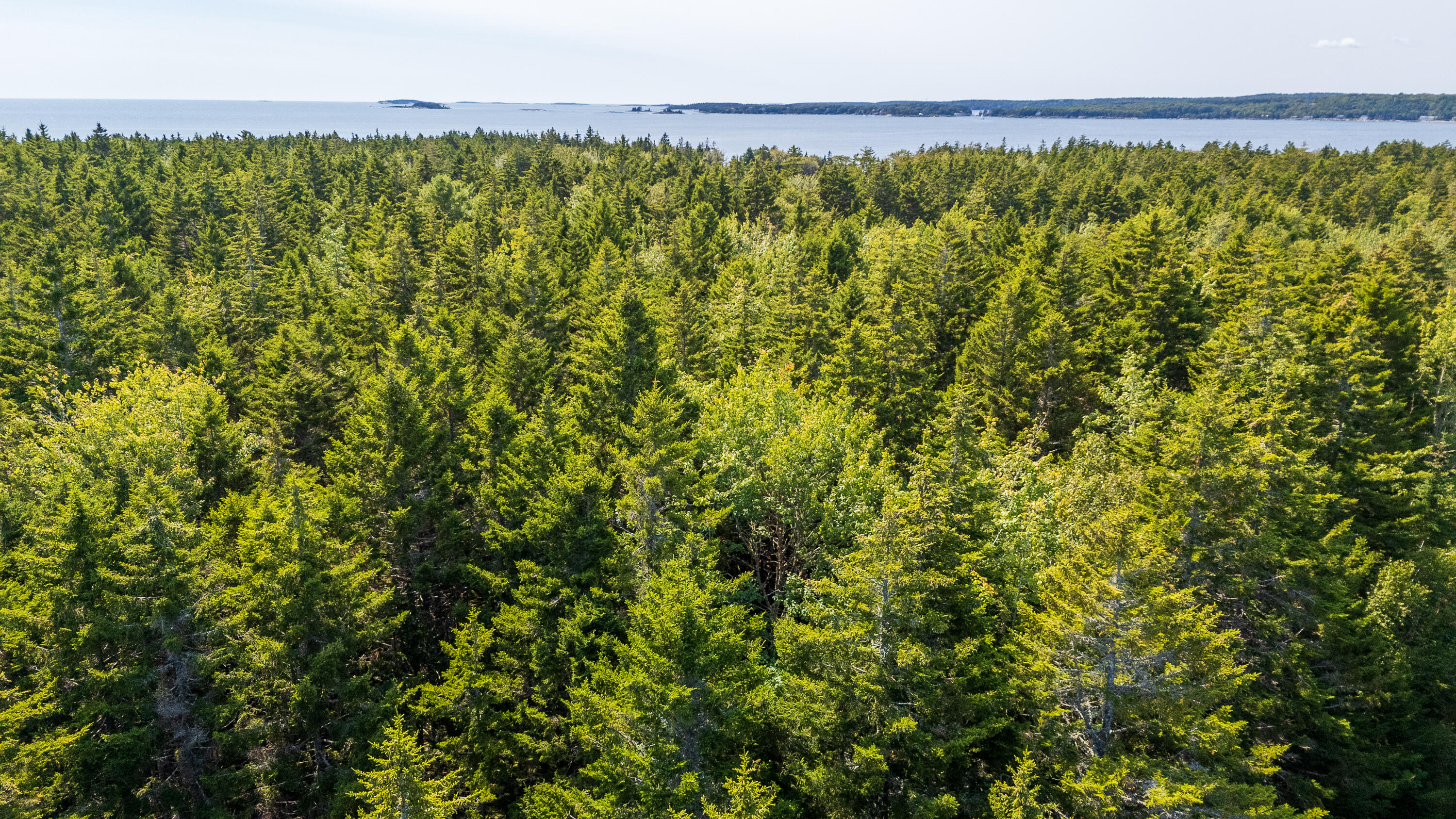 Lot 11 Nahanada Road Bristol, ME 04554 - Photo 13 of 18 27-Lot 11 Nahanada Rd-27