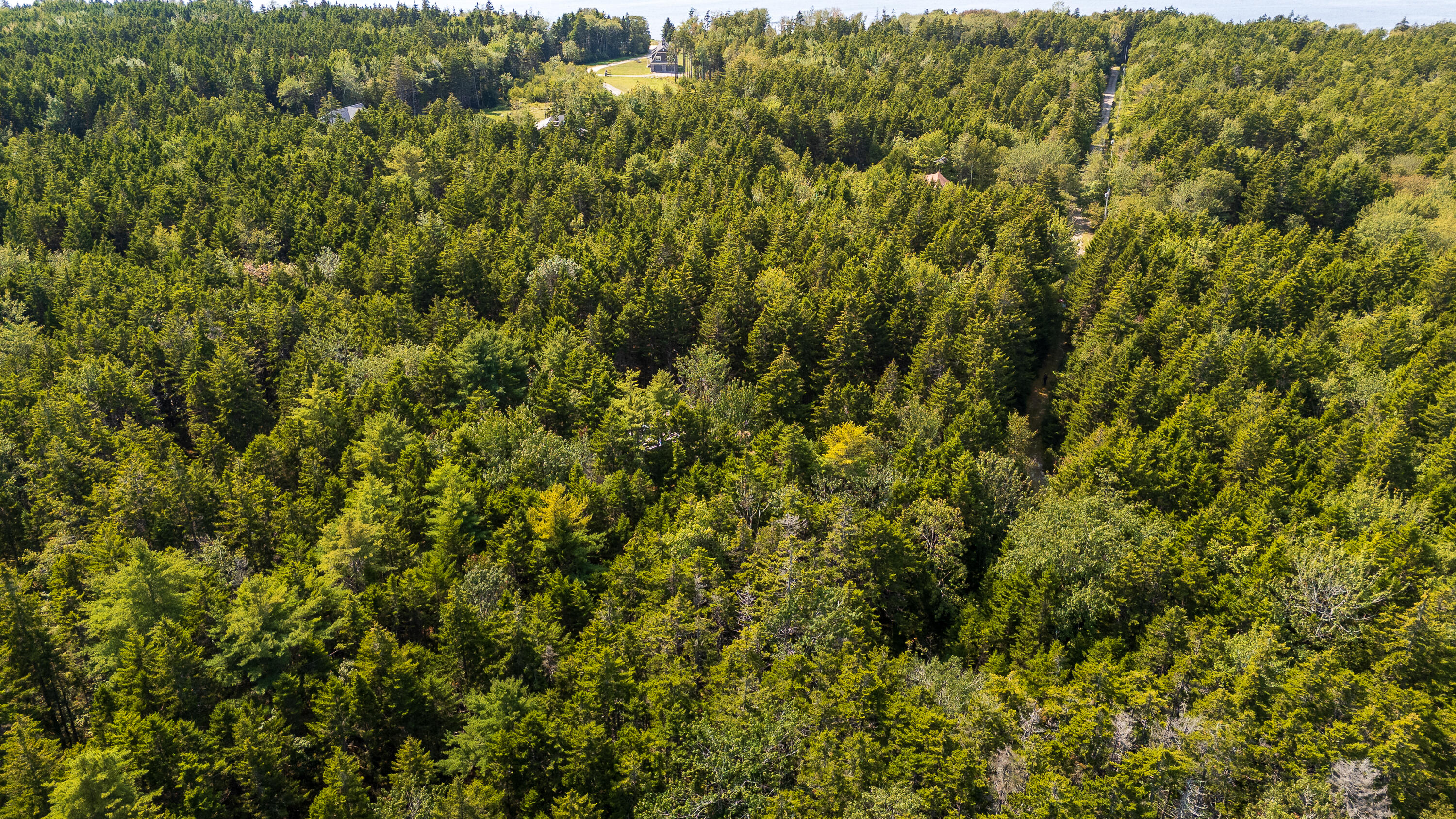 Lot 11 Nahanada Road Bristol, ME 04554 - Photo 15 of 18 33-Lot 11 Nahanada Rd-33