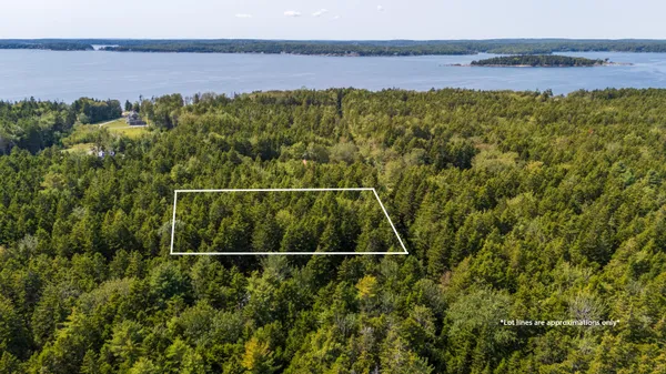 $165,000 | Lot 11 Nahanada Road, Bristol, ME 04554
