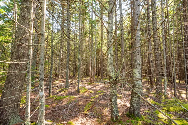 $165,000 | Lot 11 Nahanada Road, Bristol, ME 04554
