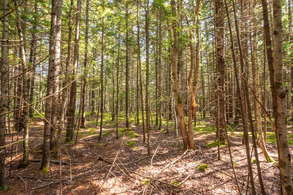 $165,000 | Lot 11 Nahanada Road, Bristol, ME 04554