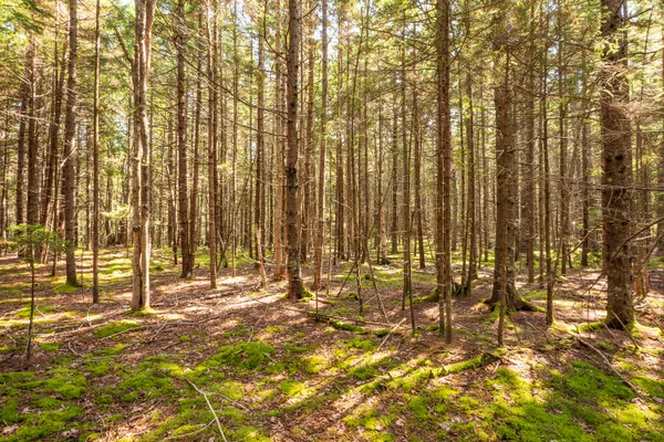 $165,000 | Lot 11 Nahanada Road, Bristol, ME 04554