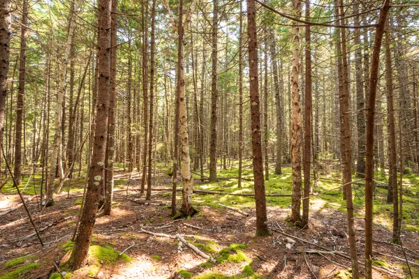 $165,000 | Lot 11 Nahanada Road, Bristol, ME 04554