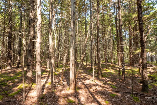 $165,000 | Lot 11 Nahanada Road, Bristol, ME 04554