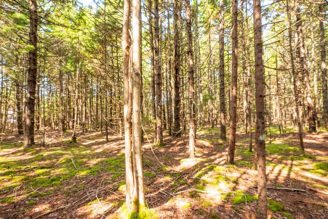 $165,000 | Lot 11 Nahanada Road, Bristol, ME 04554