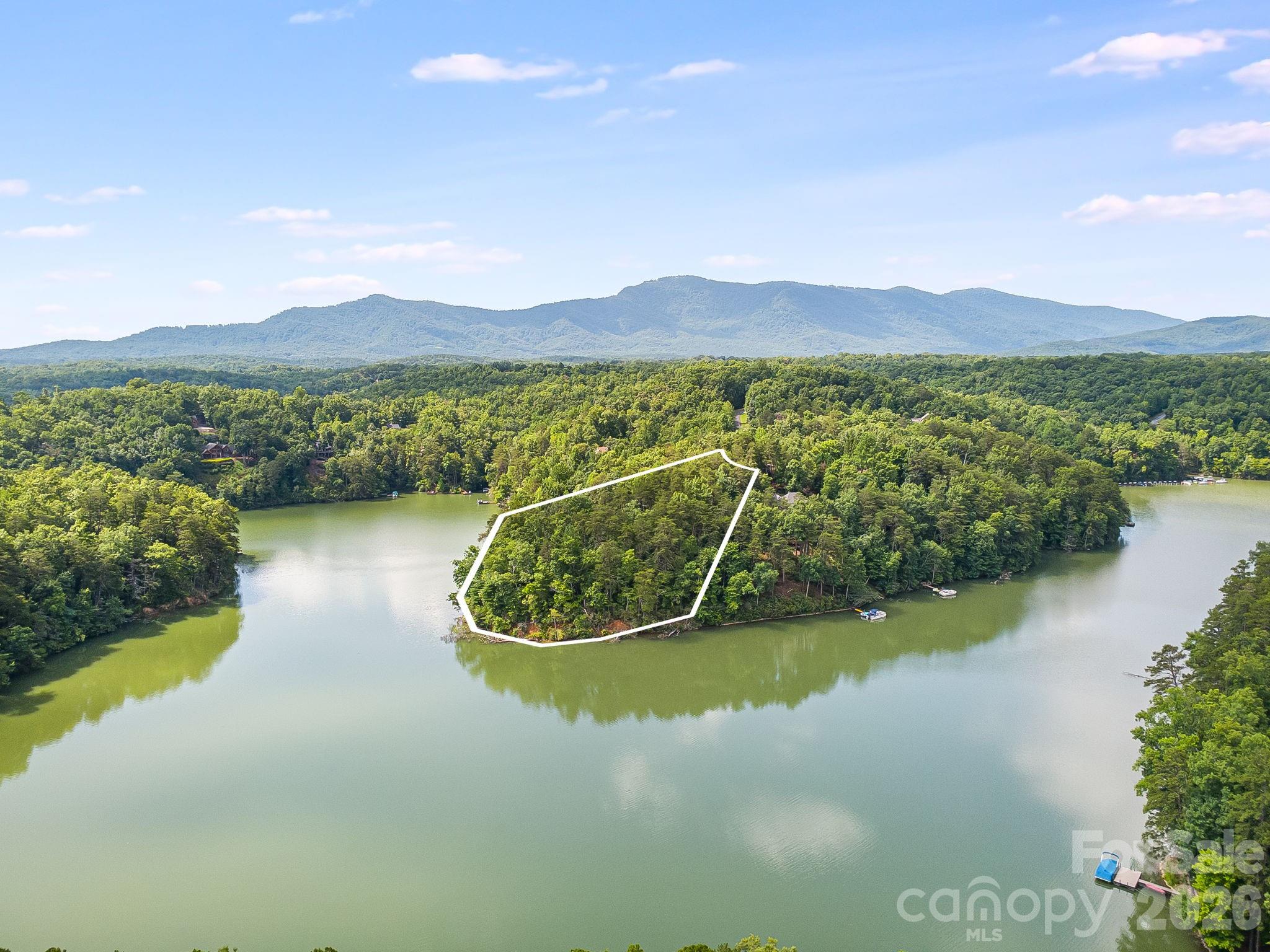 0 Canoe Drive, Unit 40 Mill Spring, NC 28756 - Photo 17 of 23