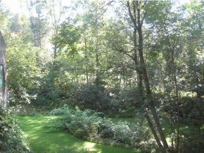 5 Hopson Road Norwich, VT 05055 - Photo 21 of 24