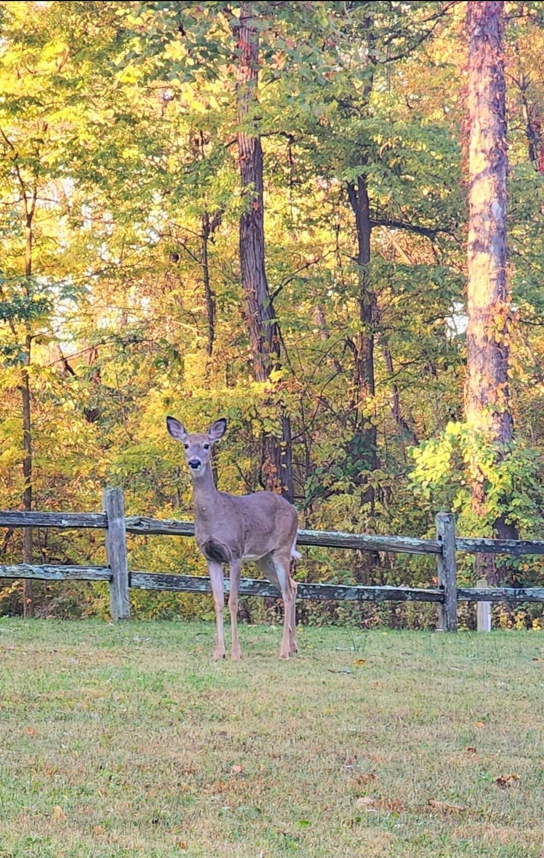 515 Old Farm Road Danville, IN 46122 - Photo 29 of 39 Gallery Image 29