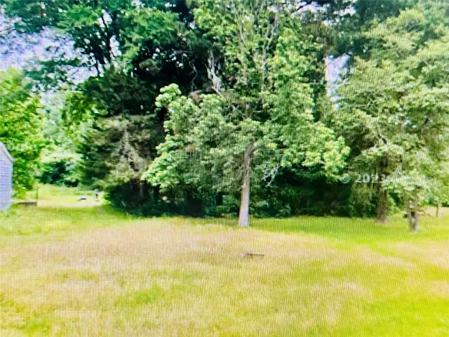 $52,000 | 0 Ogletree 310 Street, Livingston, TX 77351