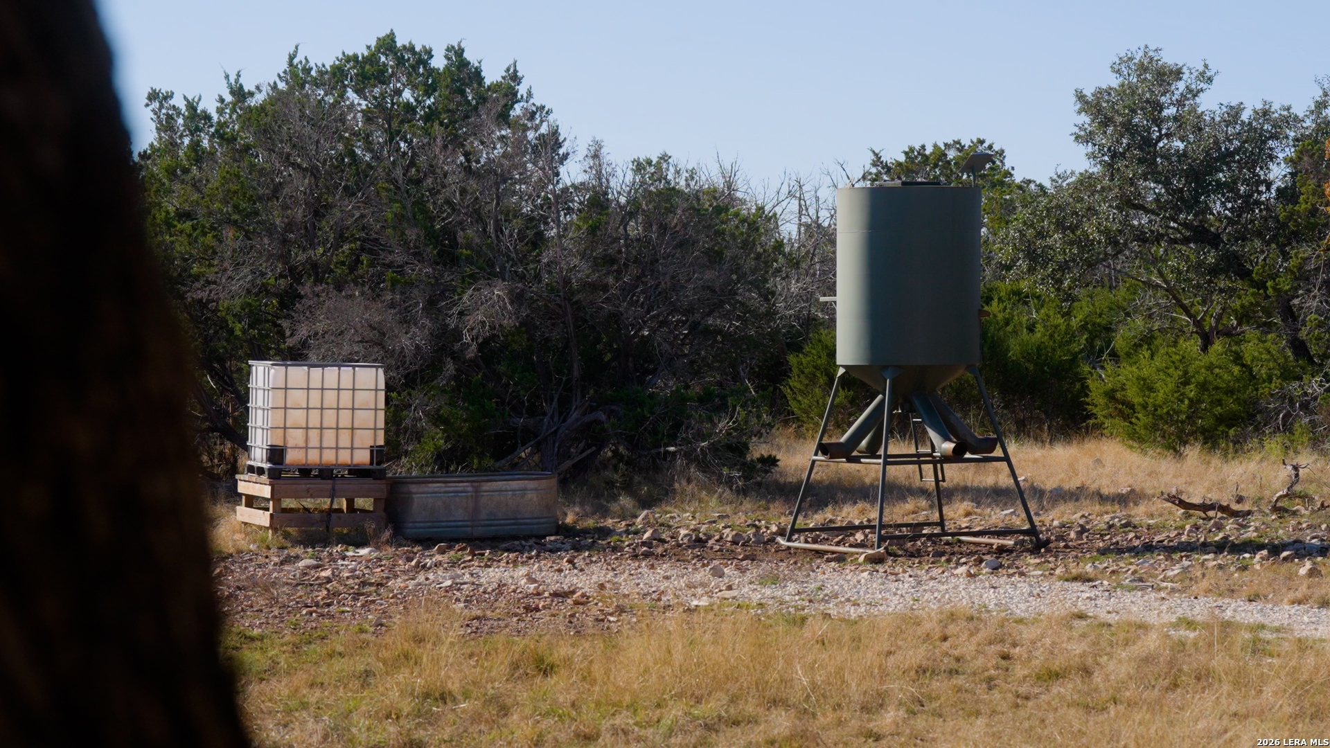 305 Wilson Ranch Road Hunt, TX 78024 - Photo 16 of 40