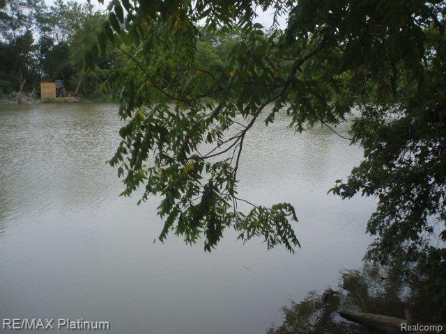Vl Dixon Road Monroe, MI 48161 - Photo 10 of 13 P7180136