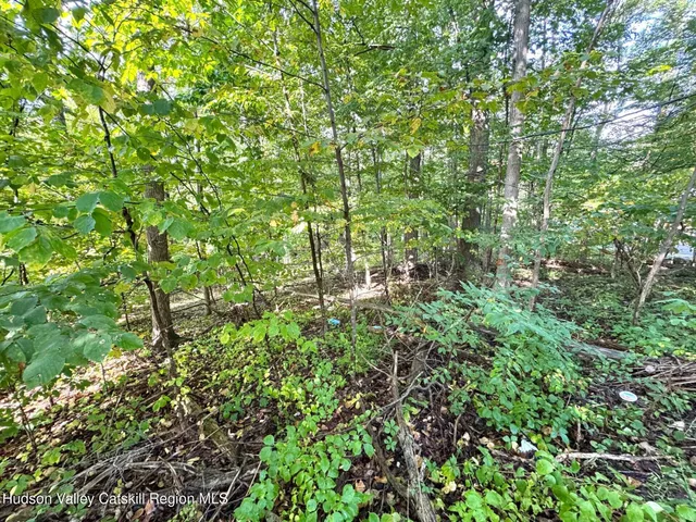 $79,000 | 0 Deerfield Road, Unit NO STREET NUMBER YET, Boiceville, NY 12412