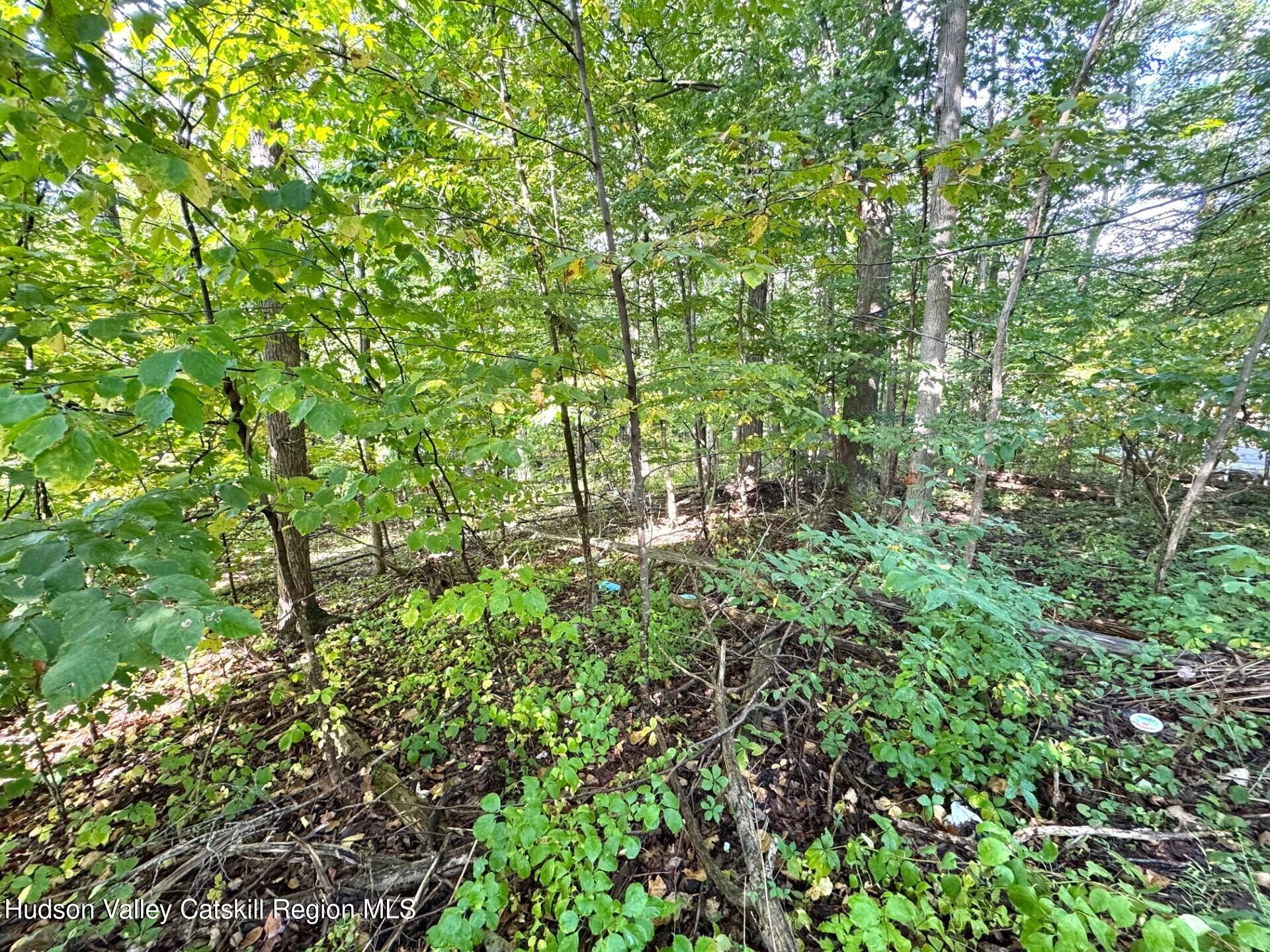 0 Deerfield Road, Unit NO STREET NUMBER YET Boiceville, NY 12412 - Photo 3 of 8 a view of a garden with plants