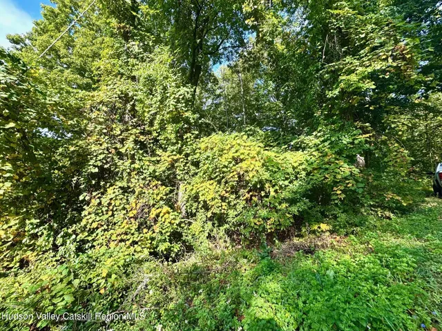 $79,000 | 0 Deerfield Road, Unit NO STREET NUMBER YET, Boiceville, NY 12412