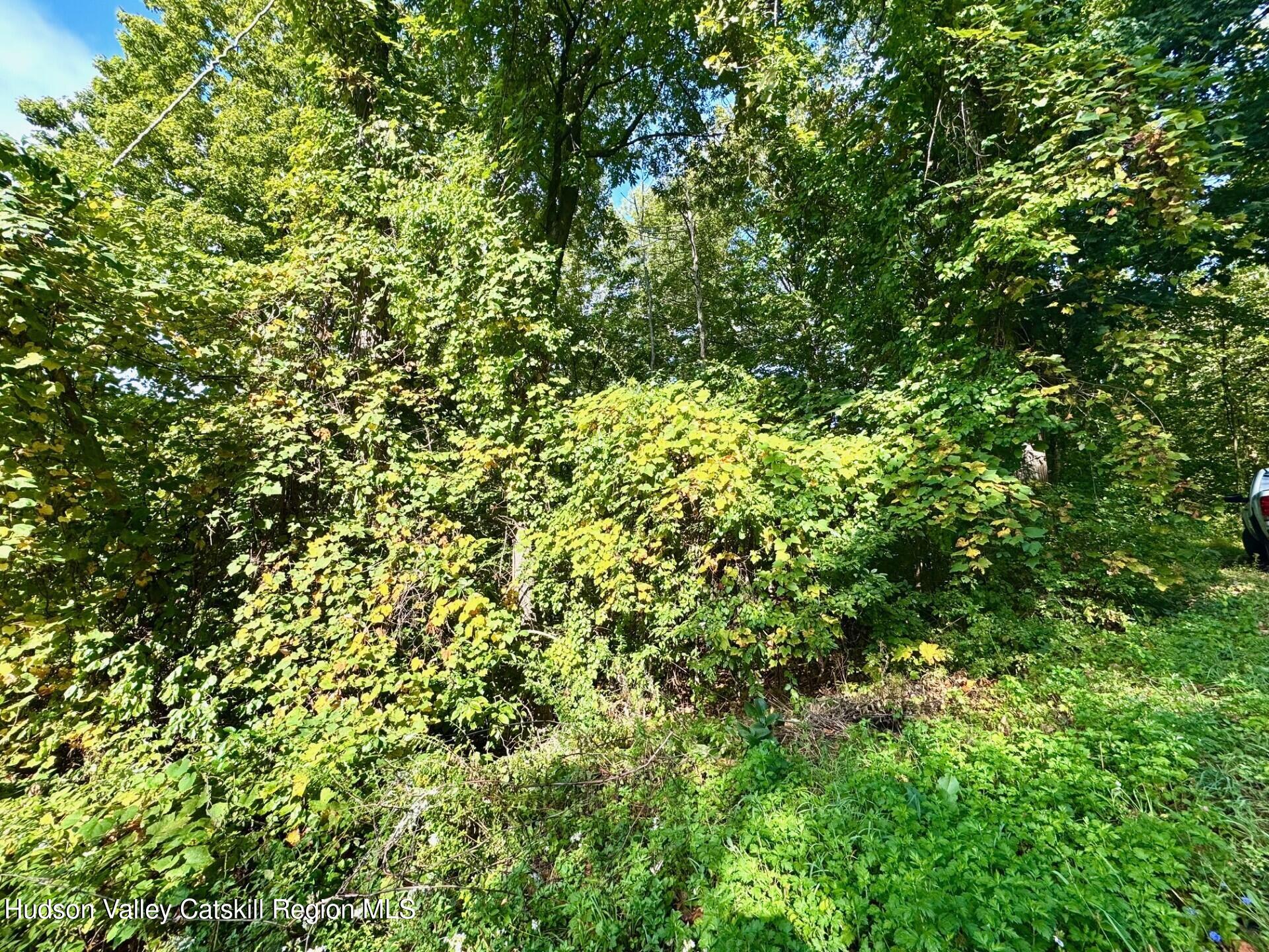 0 Deerfield Road, Unit NO STREET NUMBER YET Boiceville, NY 12412 - Photo 6 of 8 a view of a lush green field