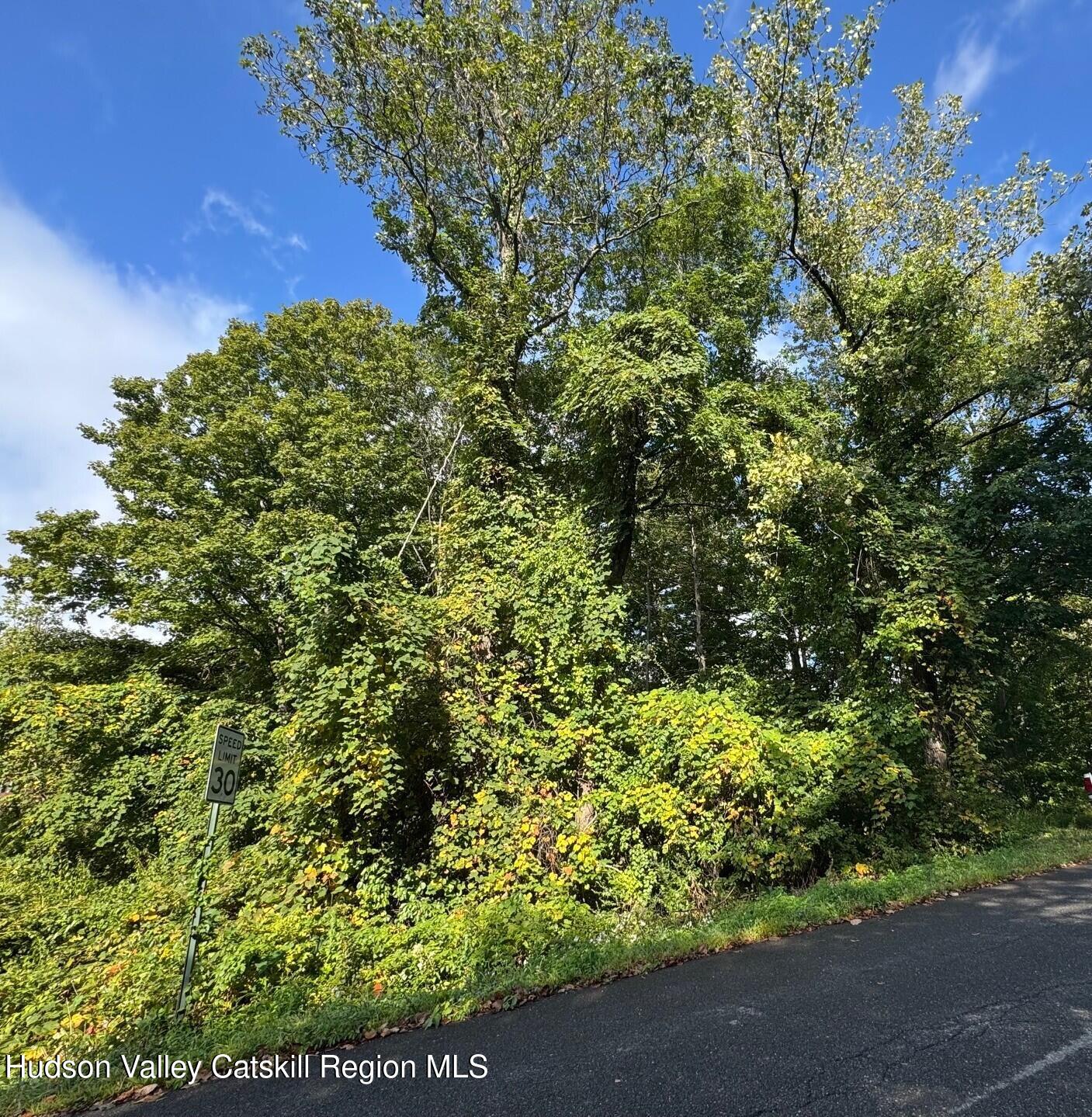 0 Deerfield Road, Unit NO STREET NUMBER YET Boiceville, NY 12412 - Photo 7 of 8 a view of a garden