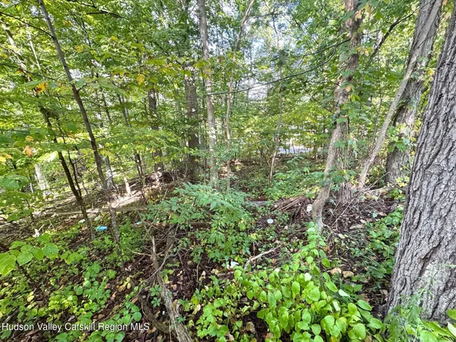 $79,000 | 0 Deerfield Road, Unit NO STREET NUMBER YET, Boiceville, NY 12412