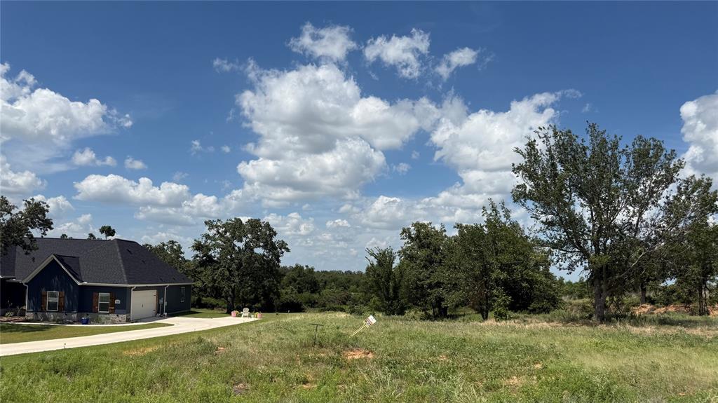 1173 Gonzollas Road Springtown, TX 76082 - Photo 3 of 4