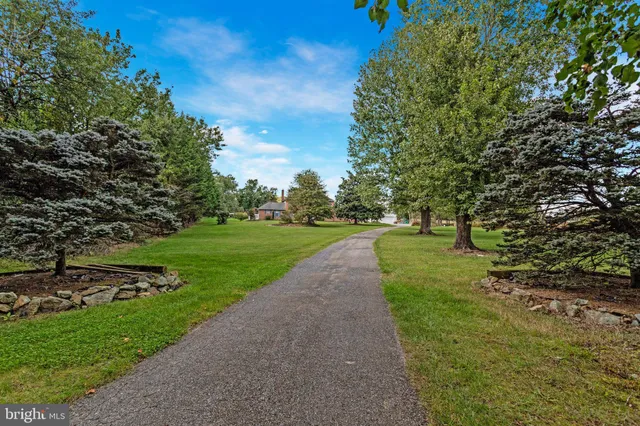 a view of green field with trees