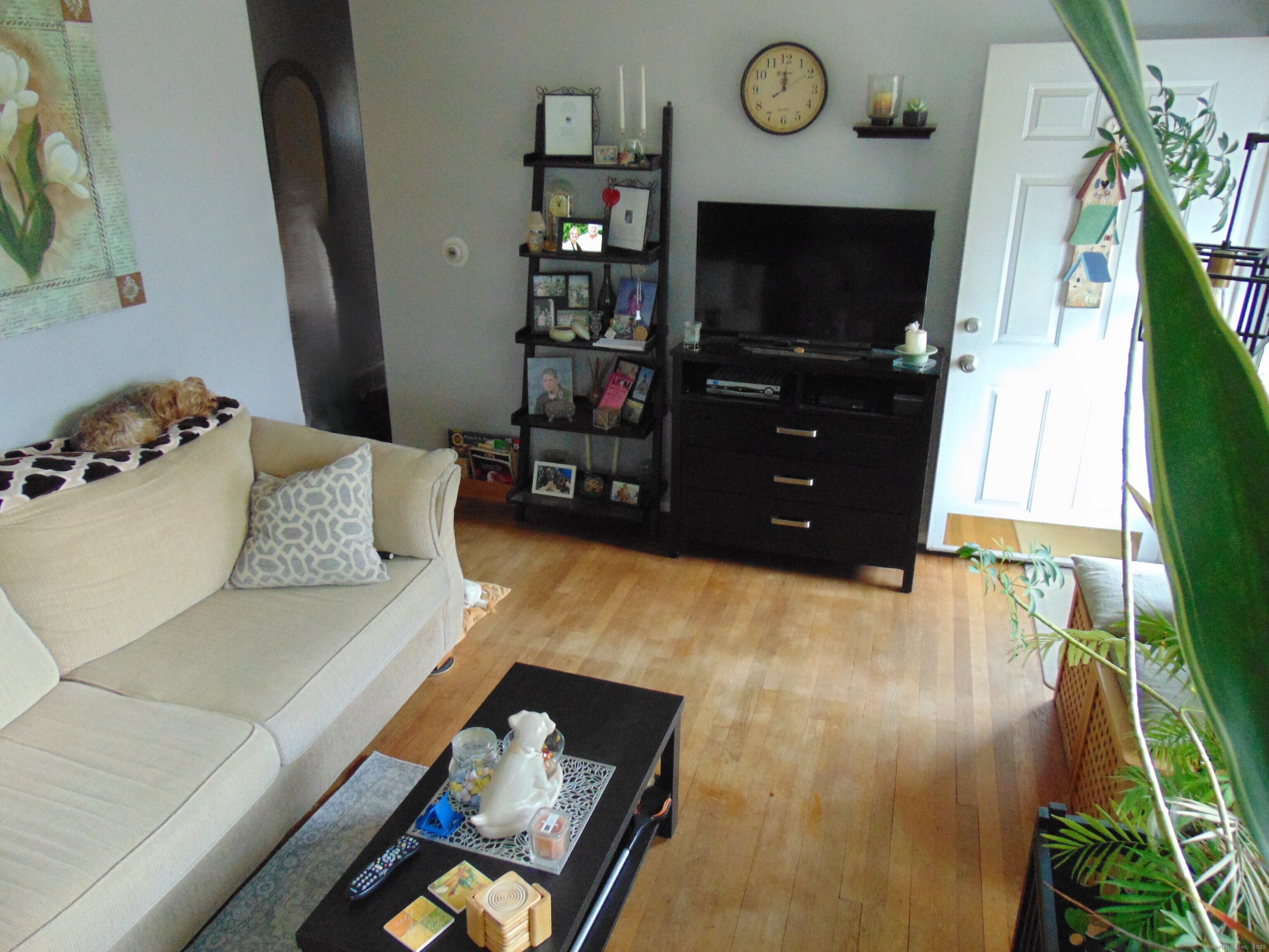 57 Alling Street Extension West Haven, CT 06516 - Photo 5 of 38 a living room with furniture and a flat screen tv