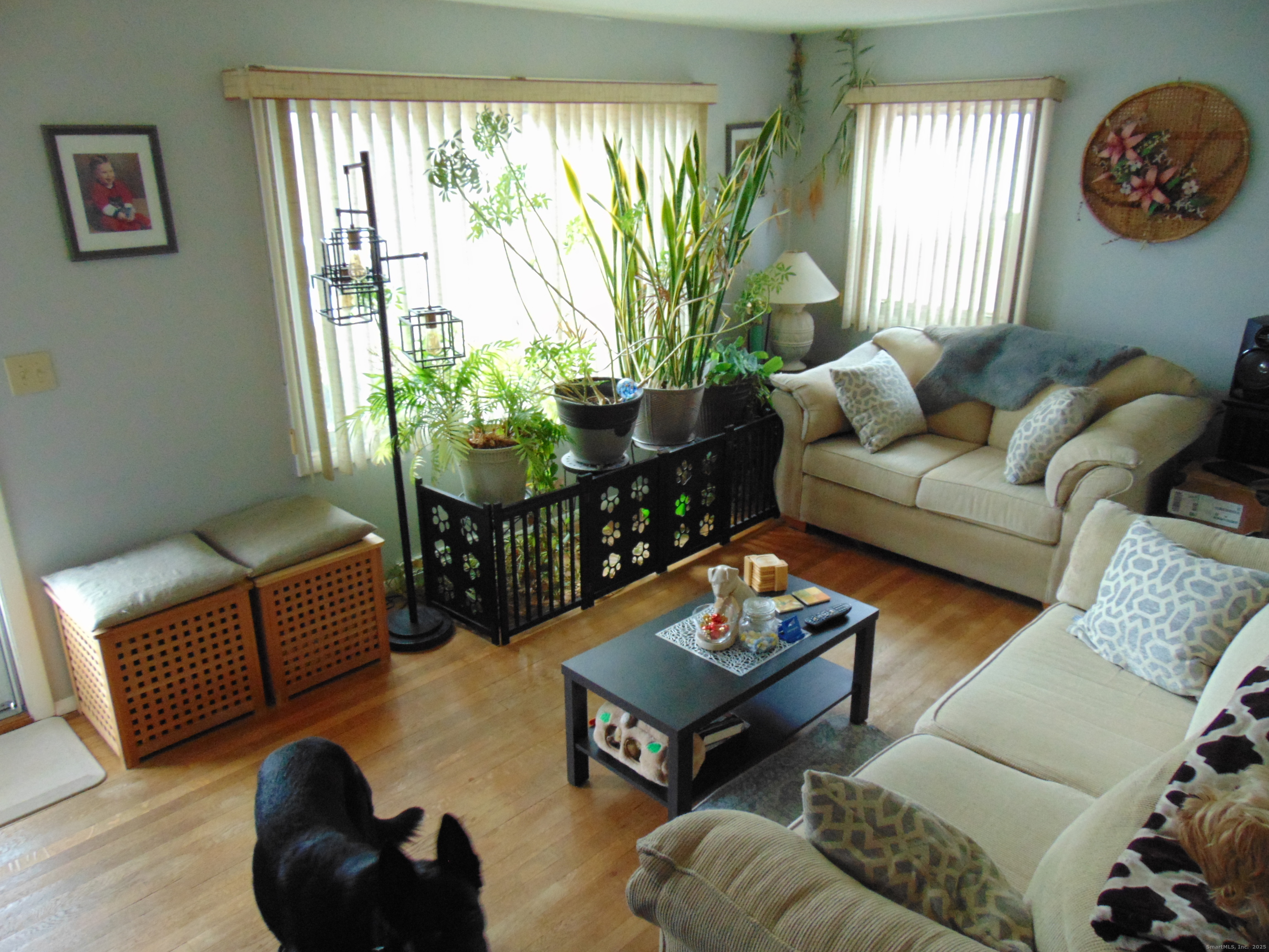 57 Alling Street Extension West Haven, CT 06516 - Photo 7 of 38 a living room with furniture and a large window