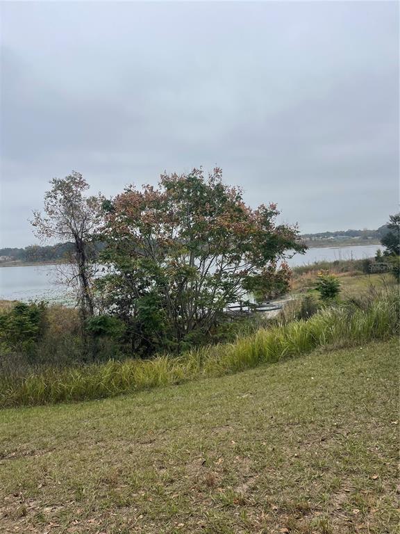 1015 Hickory Road Ocala, FL 34472 - Photo 14 of 14 a view of a field with an ocean