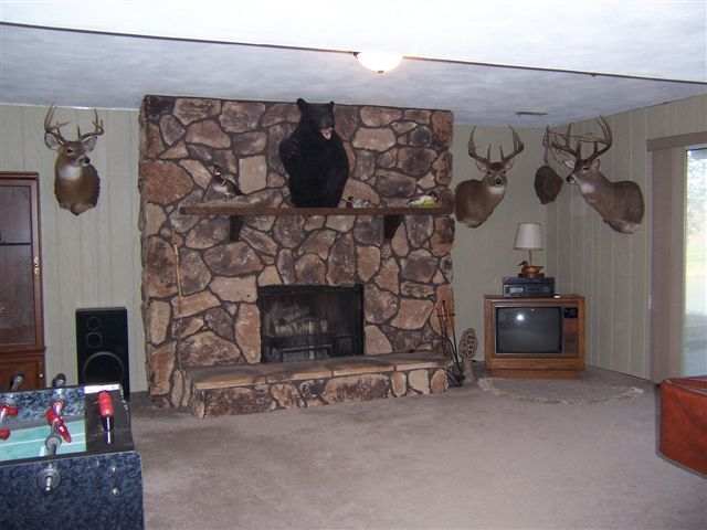 4318 South Arn Court Mapleton, IL 61547 - Photo 5 of 9
