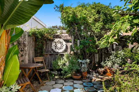 a view of a backyard with plants and a patio