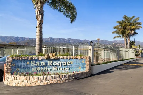 a view of a street with a palm tree