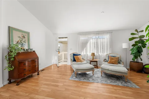 a living room with furniture and a potted plant