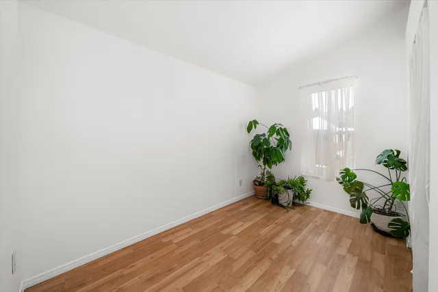 a view of a potted plant in a room