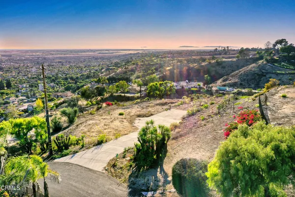 a view of a city with flower plants in front of main door